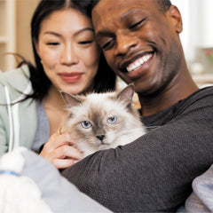 Croquettes IAMS Proactive Health avec fibres pulpe de betterave.