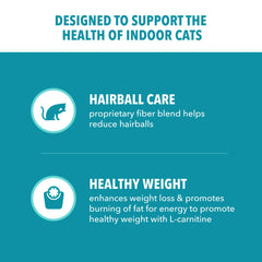IAMS Proactive Health chat-mange-croquettes-poulet: repas appétent et facile à croquer