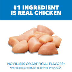 IAMS Proactive Health Chat—poulet réel, premier ingrédient pour soutien musculaire.