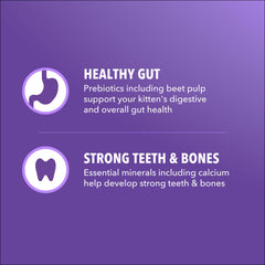 IAMS Proactive Health Chaton immunité vitamine E, soutien du système immunitaire.