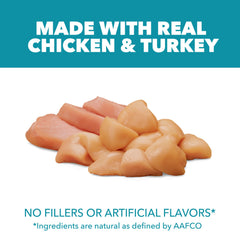 IAMS Proactive Health – croquettes au poulet réel – apport protéique de qualité.