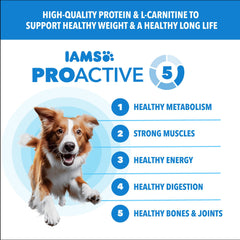 IAMS Proactive Health croquettes poulet et grains entiers – texture appétissante.