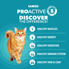 IAMS Proactive Health etiquette-indoor-poids: conçu pour le confort des chats d’intérieur