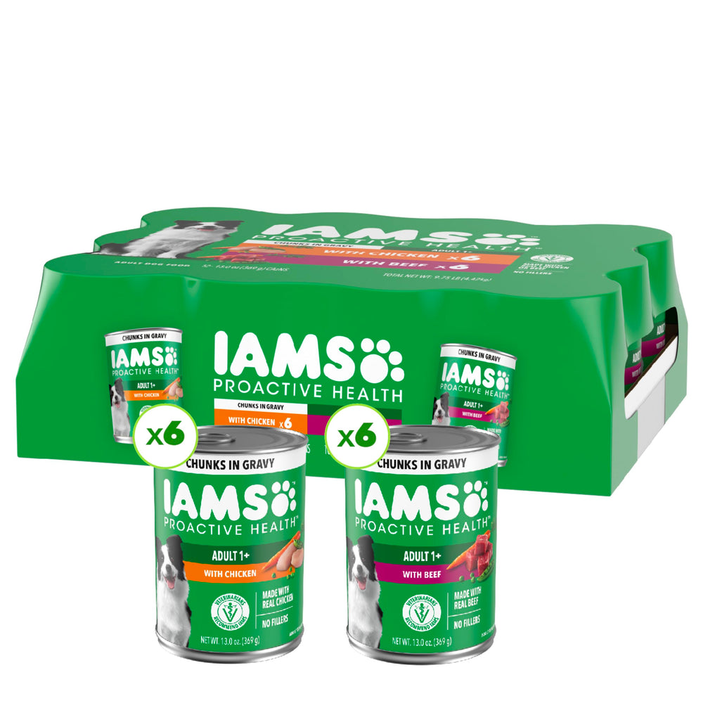 IAMS Proactive Health, morceaux de poulet dans la sauce, appétence élevée et digestion possible.