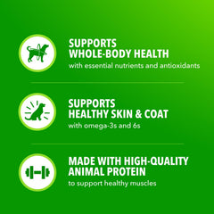 IAMS Proactive Health pâtée avec agneau et légumes pour chien.