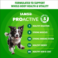 IAMS Proactive Health Minichunks, poulet comme ingrédient principal visible.