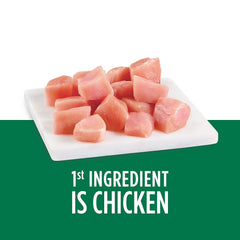 IAMS Proactive Health Senior croquettes chat dans bol, plaisir et appétit