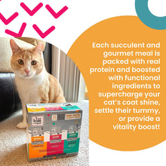 I AND LOVE AND YOU Feed Meow Tummy prébiotiques – soutien digestif et flore équilibrée.