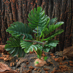 IBWell décor terrarium sûr et non toxique pour reptiles.