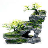 IBWell Montagne Pierre Moss, décor naturel pour cachettes et paysages sous-marins