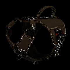 ICEFANG GN8 harnais avec panneau Loop pour identification rapide.