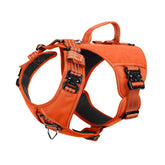 Harnais ICEFANG GN8 vue avant, offrant confort et stabilité lors des promenades.