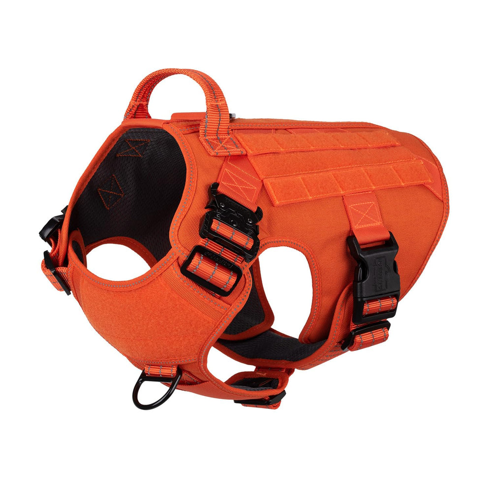 Harnais ICEFANG taille L avec boucles en métal pour un contrôle fiable lors des promenades
