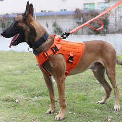 ICEFANG harnais tactique chien avec poignée frontale pour un contrôle facilité.