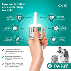 ICF Otodine: rinage des oreilles en profondeur pour chiens et chats