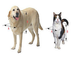 Système de verrouillage à glissière de la porte Ideal Pet Products pour contrôler l'accès.