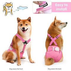Idepet couches chienne femelle extérieure étanche pour protéger tapis et canapé.