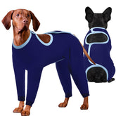 IDOMIK combinaison récupération chien bleu protège les zones sensibles