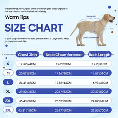 IDOMIK Combinaison récupération chien – ventre, protège les zones sensibles et limite les frottements.