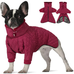 IDOMIK manteau hiver pour chien, col haut, chaleur durable lors des sorties.