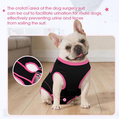 IDOMIK Protection abdomen chien, couvre l'abdomen et évite le léchage.