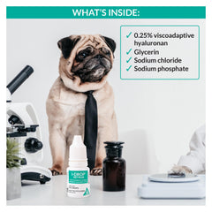 I-DROP VET PLUS aide à stabiliser le film lacrymal des yeux canins.