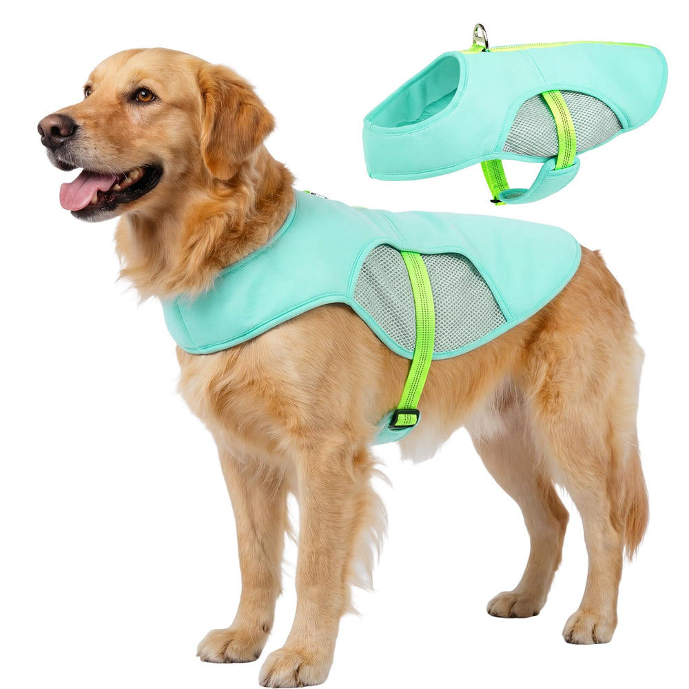 Gilet refroidissement IECOii turquoise sur chien, confort rafraîchissant lors d'une balade chaude.