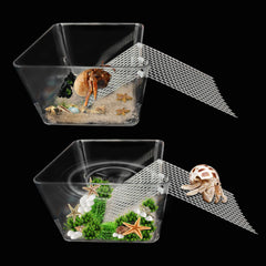 Iffitya bassin pour crabe ermite avec rampe découpable, habitat sûr et confortable.