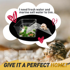 Iffitya tank durable pour crabe ermite, sécurité et longévité pour l habitat.