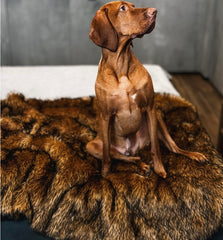 IHAPPYDOG confort en fausse fourrure pour chien brun idéal pour des siestes douces.