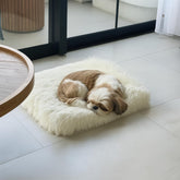 IHAPPYDOG lit orthopédique en fourrure blanche offrant un soutien confortable pour le chien.