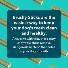 iHeartDogs Brushy Sticks : utilisation facile pour réduire la plaque.