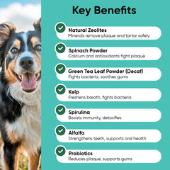 iHeartDogs poudre dentaire — cuillère-dosage incluse pour une distribution facile