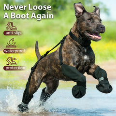 Bottes IKIPUKO pour chien – étanche contre boue et terrains difficiles.