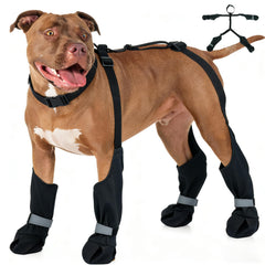 Bottes IKIPUKO avec suspendeurs pour chien actif et sécurisé