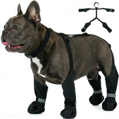 IKIPUKO bottes suspendues chien hiver avant: maintien sûr lors des jeux d'extérieur
