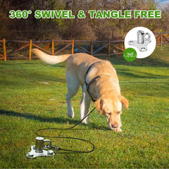 anneau pivot monobloc résistant, rotatif et sûr pour chien actif.