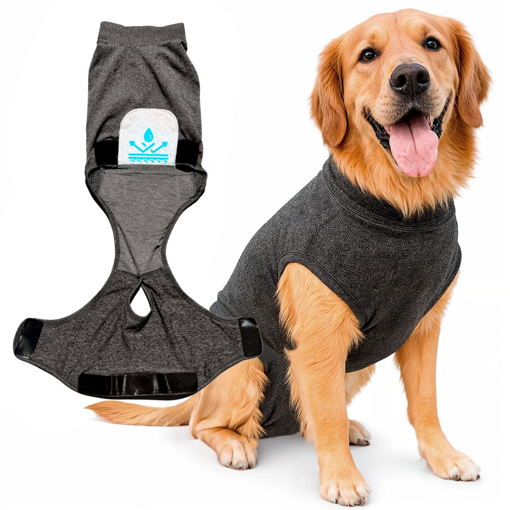 iLVYA combinaison récupération chien — avant XL gris, confort et ajustement généreux