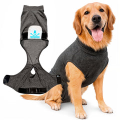 iLVYA combinaison récupération chien — avant XL gris, confort et ajustement généreux
