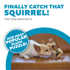 Outward Hound Hide-A-Squirrel – Jouet puzzle peluche 2-en-1 pour chien (Petit) avec 3 écureuils sifflants