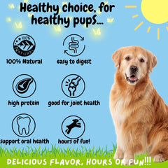 BULLYSTICKS & MORE Trachee de boeuf 6 pouces (12 pièces) – Friandises à mâcher longue durée pour chiens