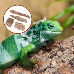 Cachette en écorce IMIKEYA, surface idéale pour grimper et explorer le terrarium