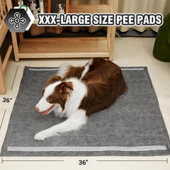 IMMCUTE tapis-xl absorption rapide, propreté des sols et confort du chien.