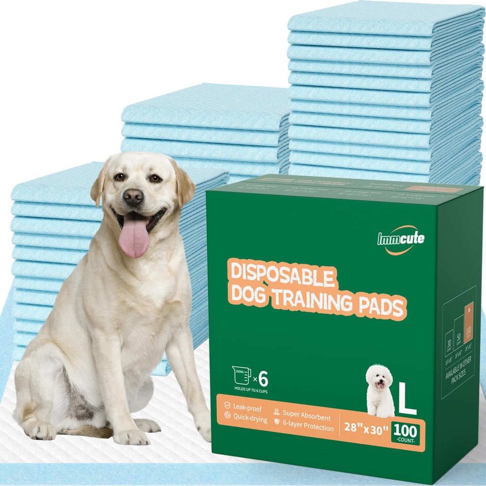 Tapis absorbant IMMCUTE 100-pack 28x30, idéal pour l’entraînement et les sols propres.