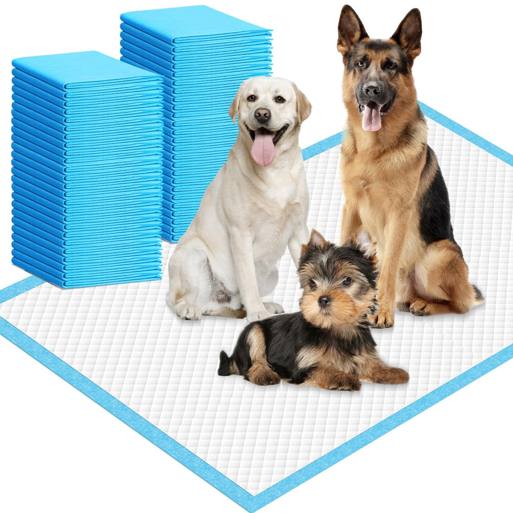 IMMCUTE tapis-pipi-chien-extra-large, surface spacieuse idéale pour grands chiens et l'entraînement.