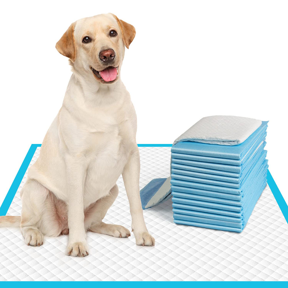 IMMCUTE tapis-pipi chien grand 28x30, absorption élevée pour l'intérieur