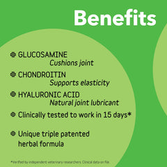 InClover Connectin – glucosamine-chondroïtine: soutien possible des articulations.