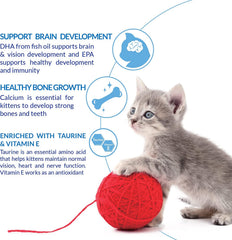 DHA pour le cerveau et la vision des chatons avec INABA Churu au thon.