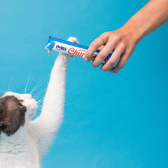 INABA Churu crème-thon-tube purée lisse pour chat