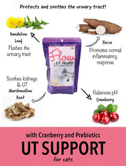 In Clover Flow: friandises molles, texture et goût attrayant pour les chats.